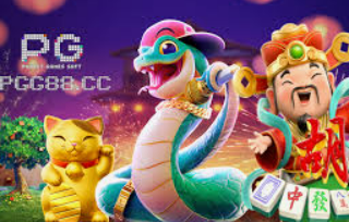 鲸鱼体育最新版