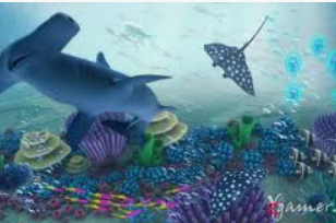 鲸鱼体育电脑免费版